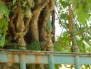 portail d�tail.JPG